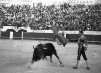 Luis Miguel Dominguín, 1958 Photothèque Bernard Rouget / © ADAGP Paris