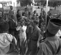Alger - 1943 null