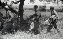 Campagne de Tunisie. Goumiers avec Prisonniers Allemands.