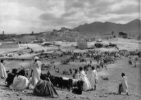 Marché aux chameaux, Guelmin, 1953.