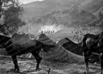 Bêtes au repos à Moulay-Idriss, pendant le Moussem (pèlerinage), septembre 1942. Les moussems de Moulays Idriss évoquent la figure légendaire et réelle du fondateur des dynasties marocaines et...