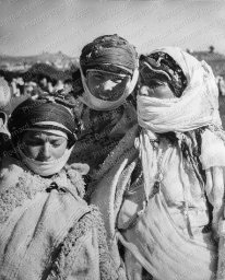 Moussem, Plateau d'Ifrane, mai 1953.
